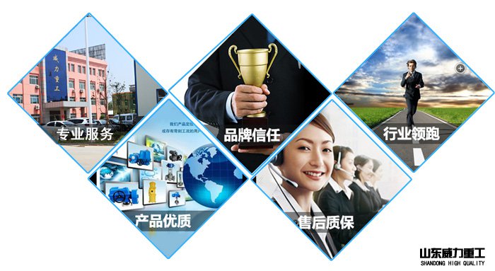 315噸單臂液壓機廠家